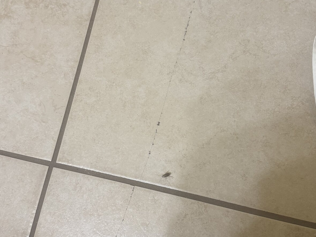 Rodeway Inn Winslow I-40主图