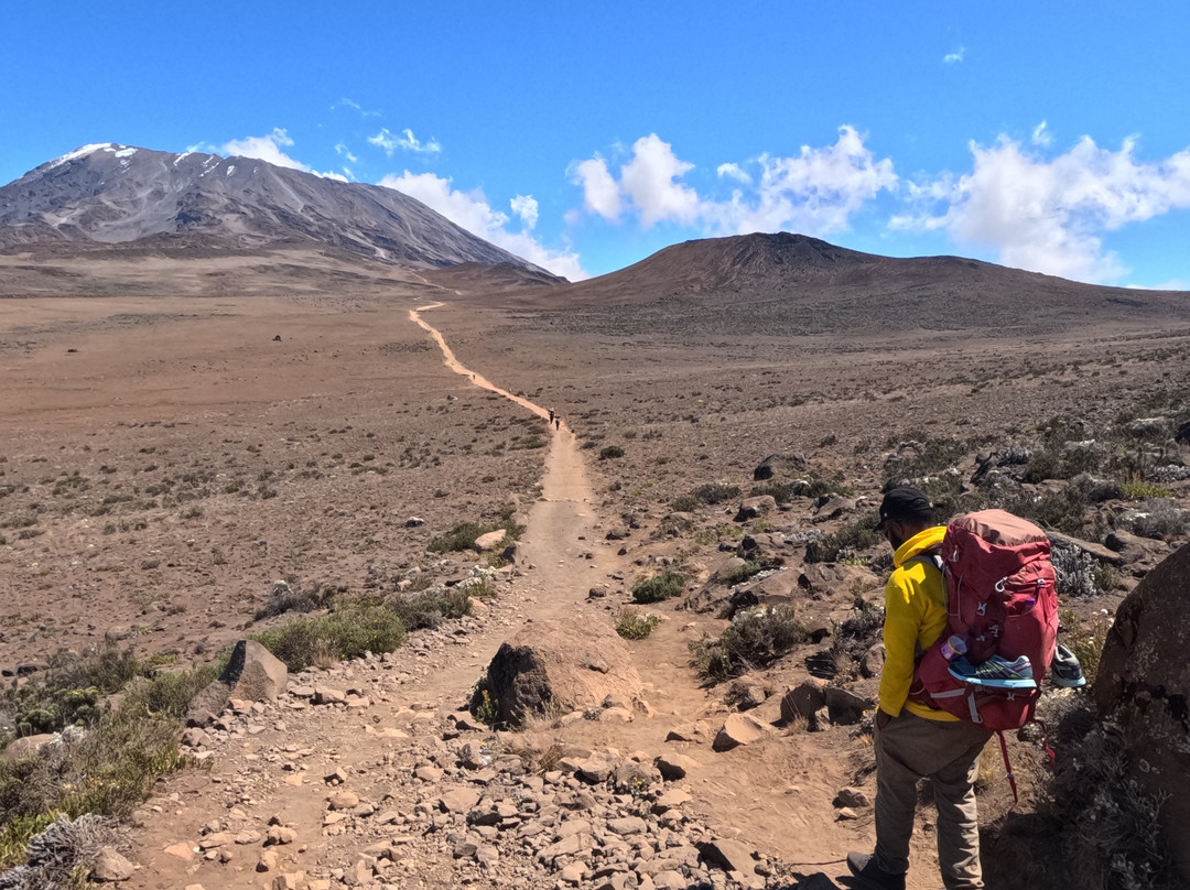 Moja Africa Experience-莫西必去景点