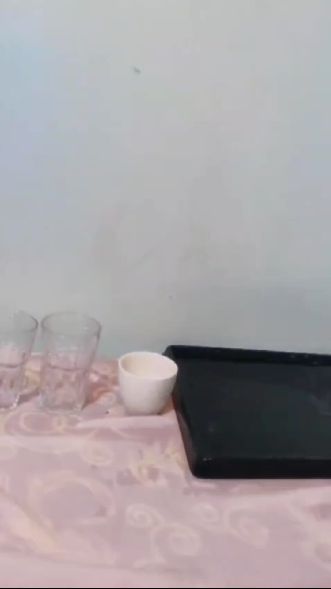 阿马迪海滨度假村-客卧