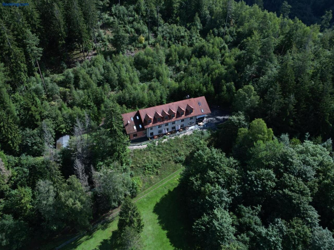 Waldpension am Köpfchen