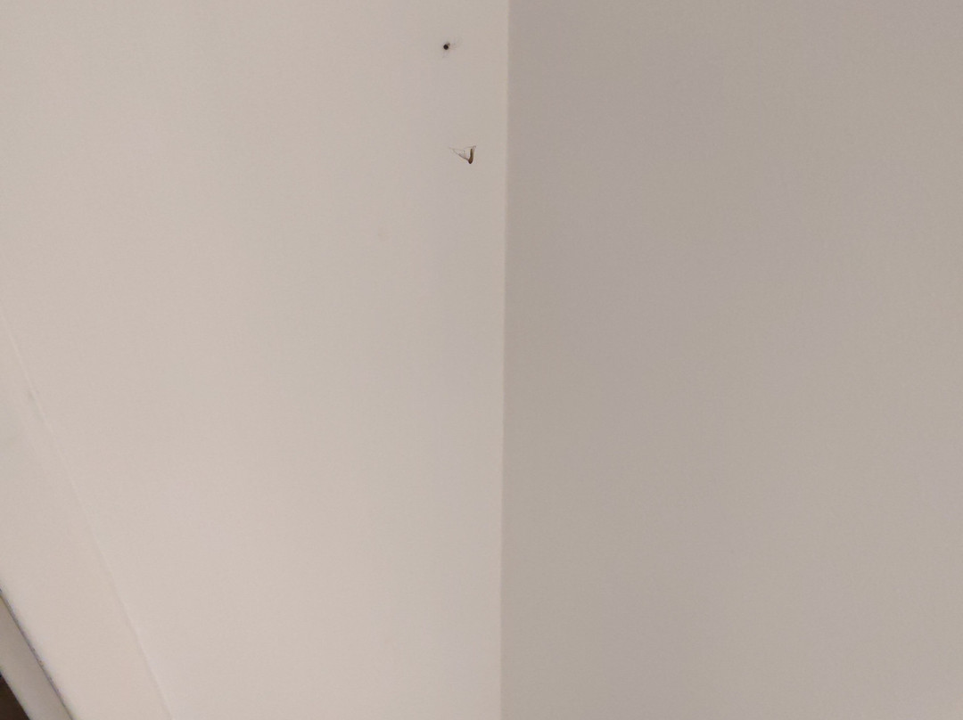 Hotel Eden Park by Brava Hoteles主图