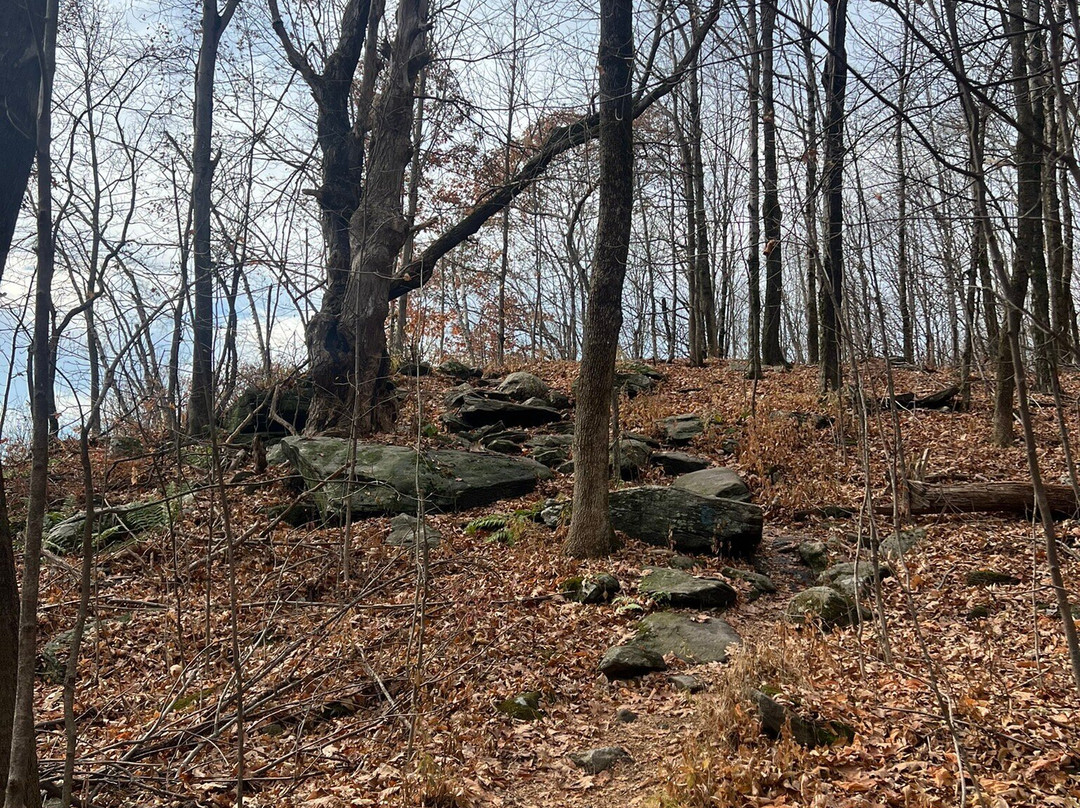 Wachusett Mountain State Reservation-Princeton必去景点