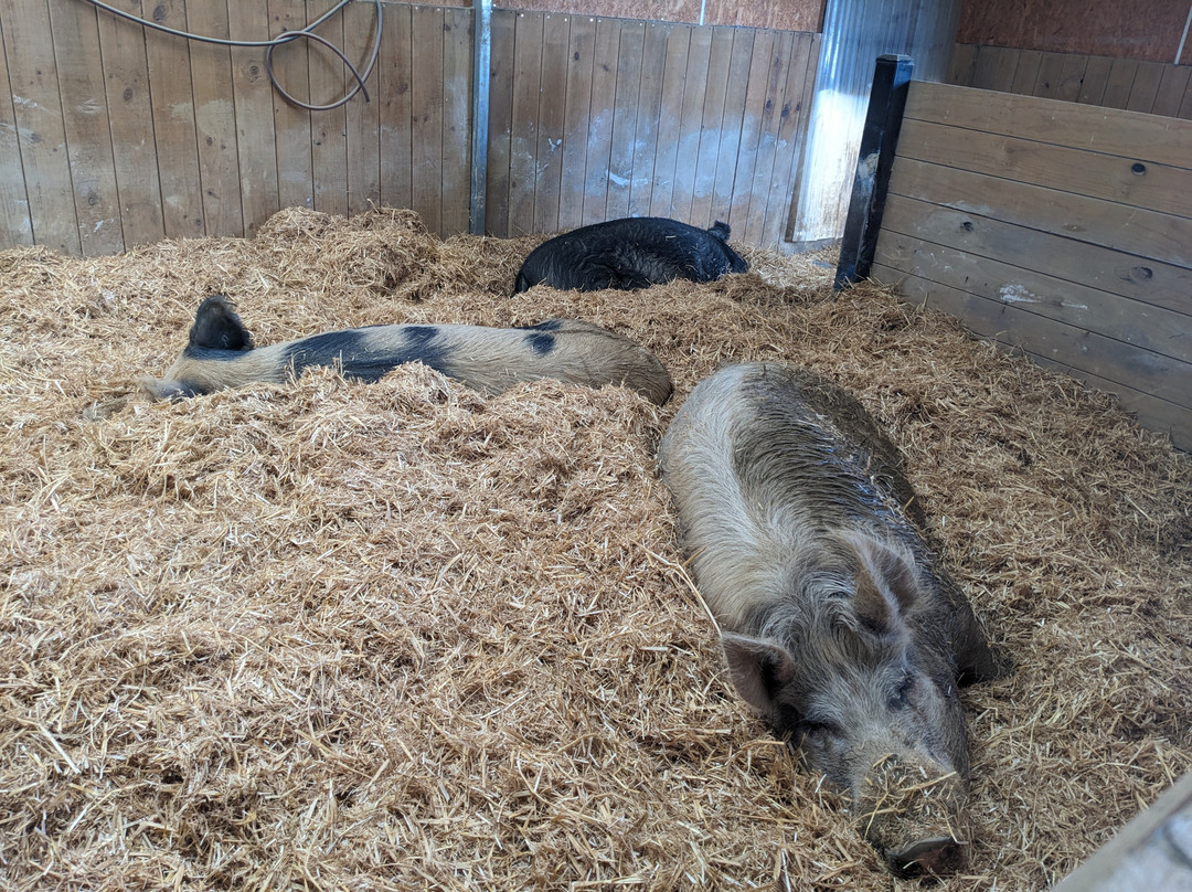 Edgar's Mission-Lancefield必去景点