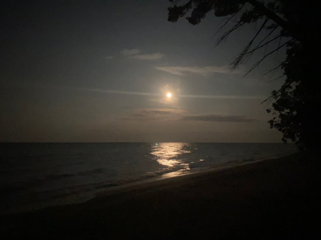 Beaver Island景点图片