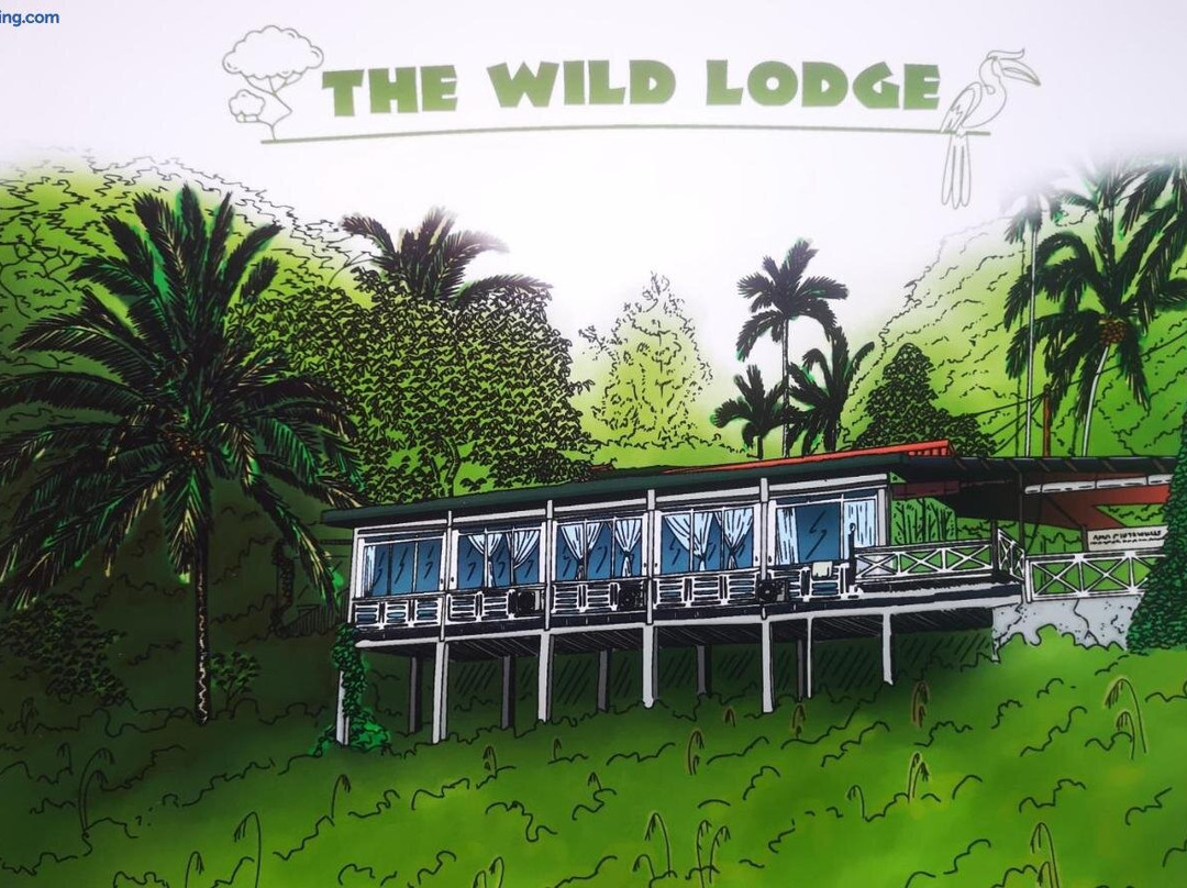 Wild Lodge Taman Negara