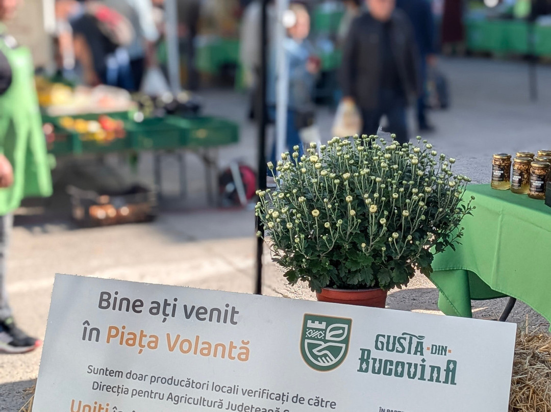Piata Volanta Gusta Din Bucovina景点图片