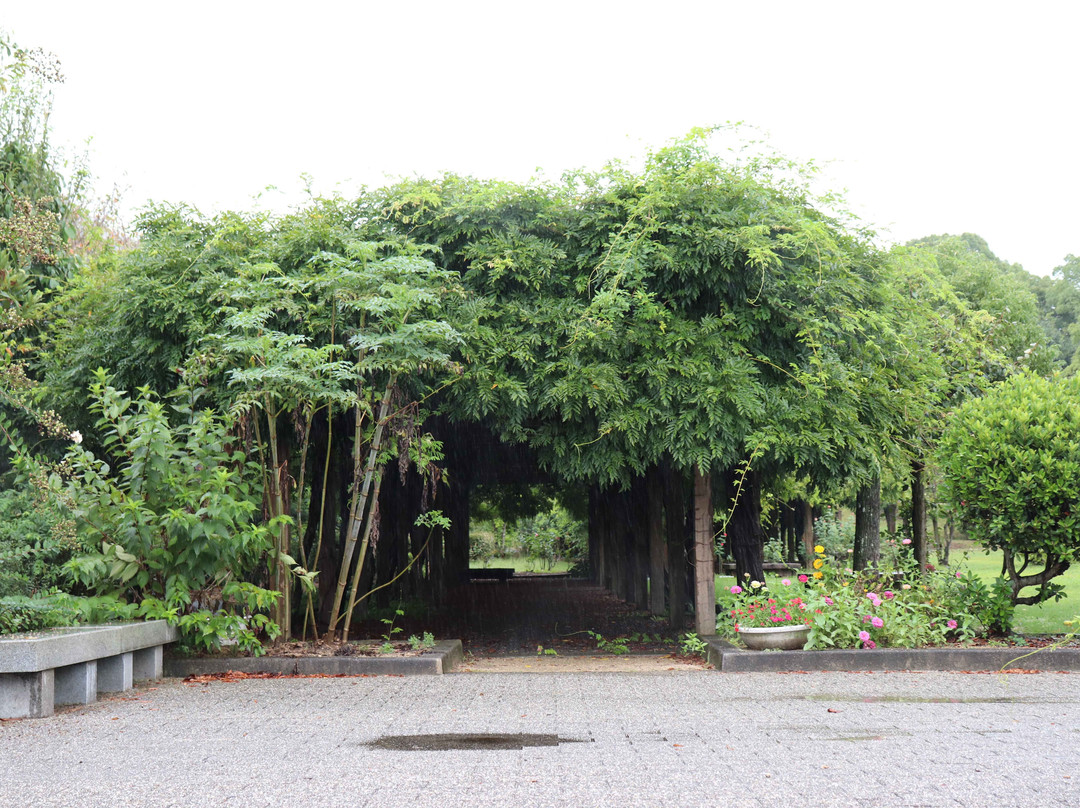 Omishima Fuji Park-今治市必去景点
