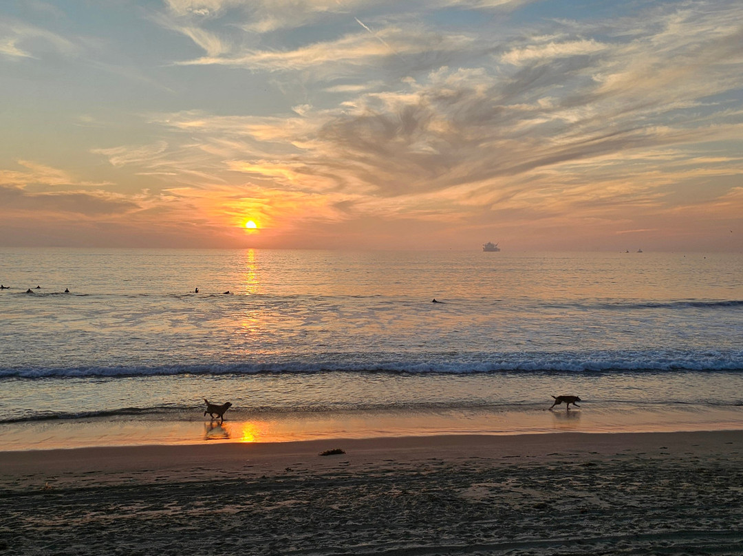 Hyatt Place Los Angeles/lax/El Segundo主图