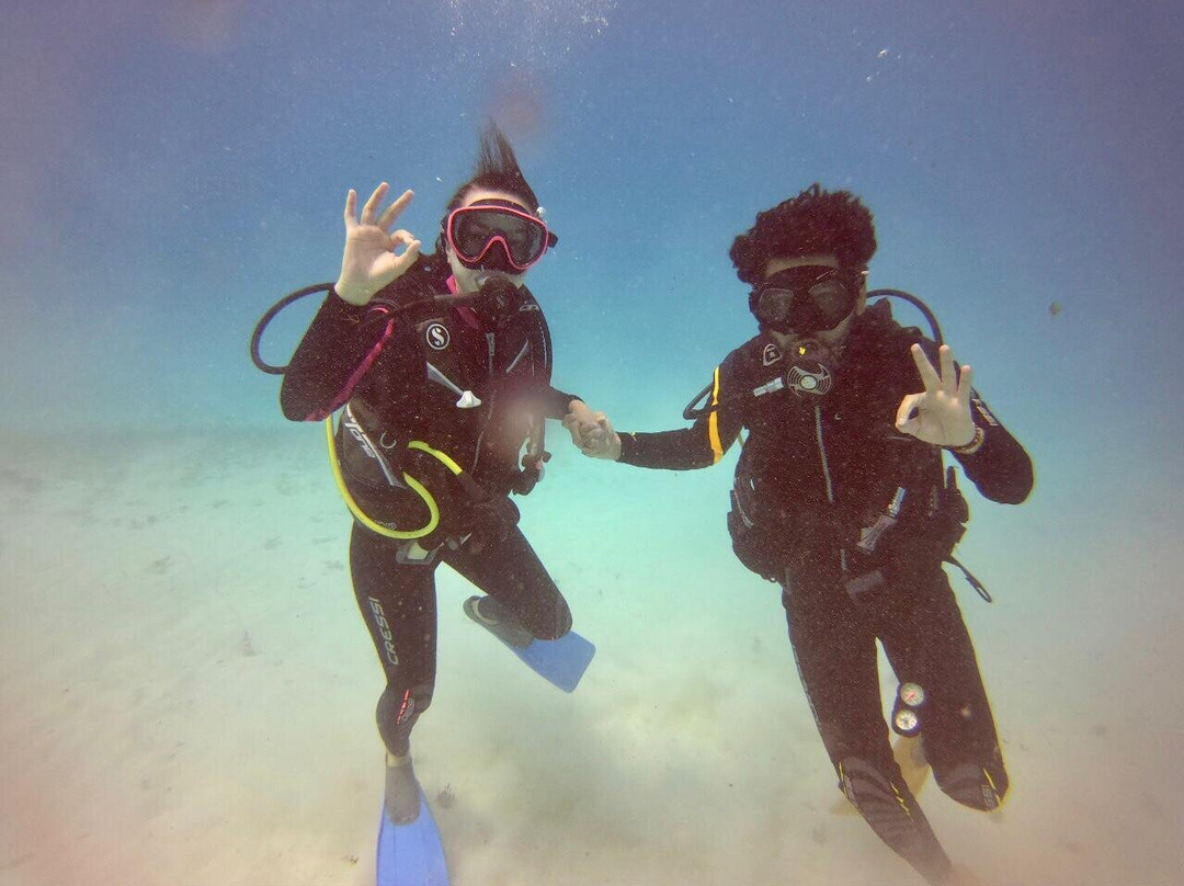 Aquarius Diving Club Medellín景点图片