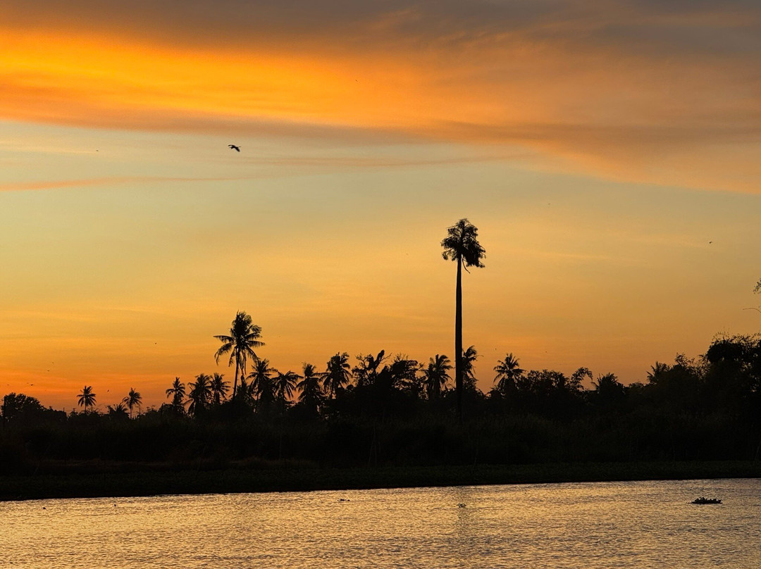 Hidden Holiday House主图