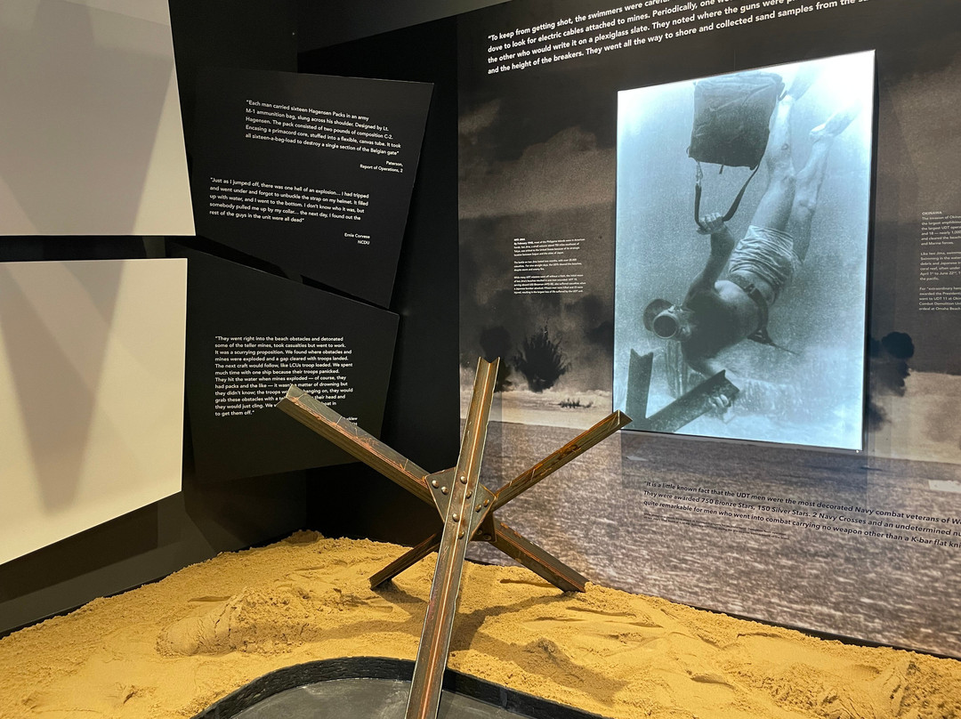 Lt Michael P. Murphy Navy Seal Museum景点图片