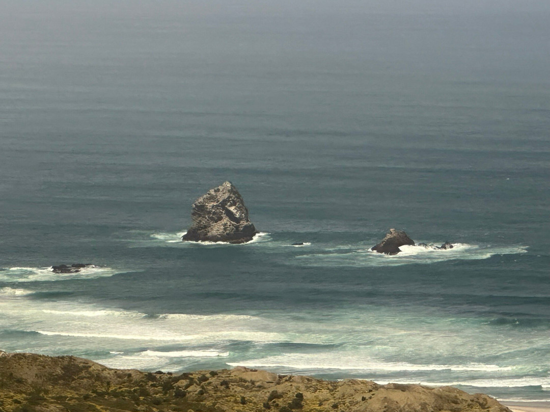 Bookatour-但尼丁必去景点