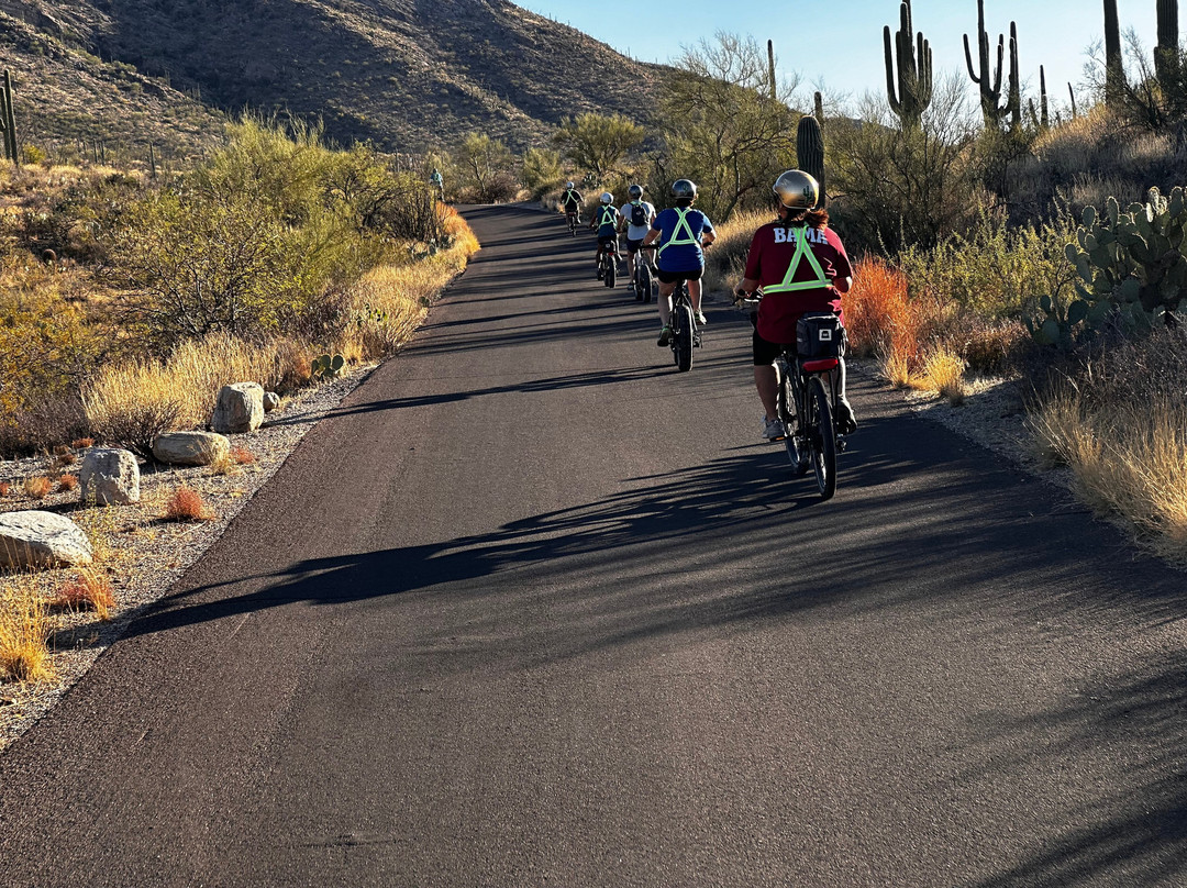 Tucson E-Bike Adventures-图森必去景点