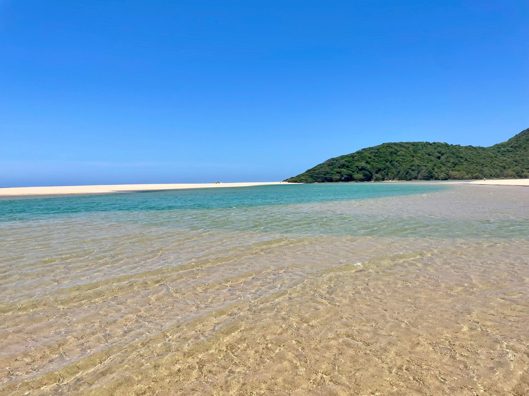 Kosi Bay Nature Reserve-Kosi Bay必去景点