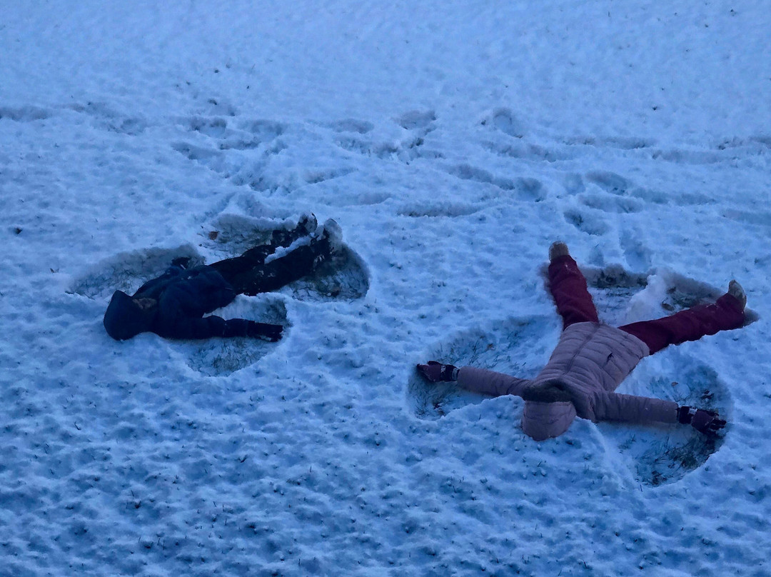 WorldMark Wolf Creek主图