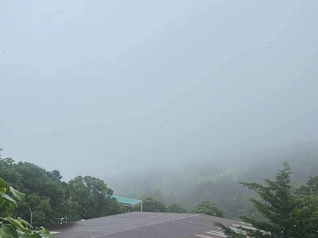 Bosque Verde Lodge主图