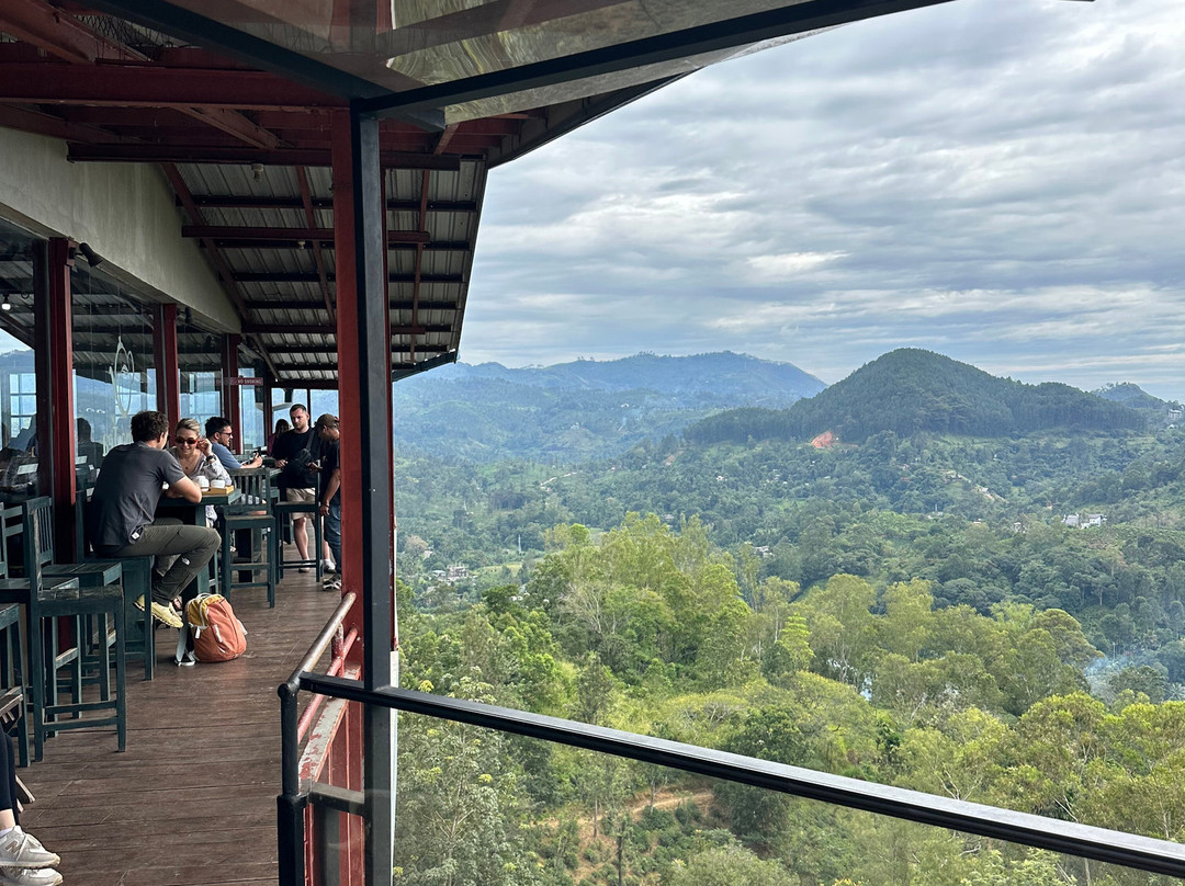 Halpewatte Tea Factory Tour-埃勒必去景点