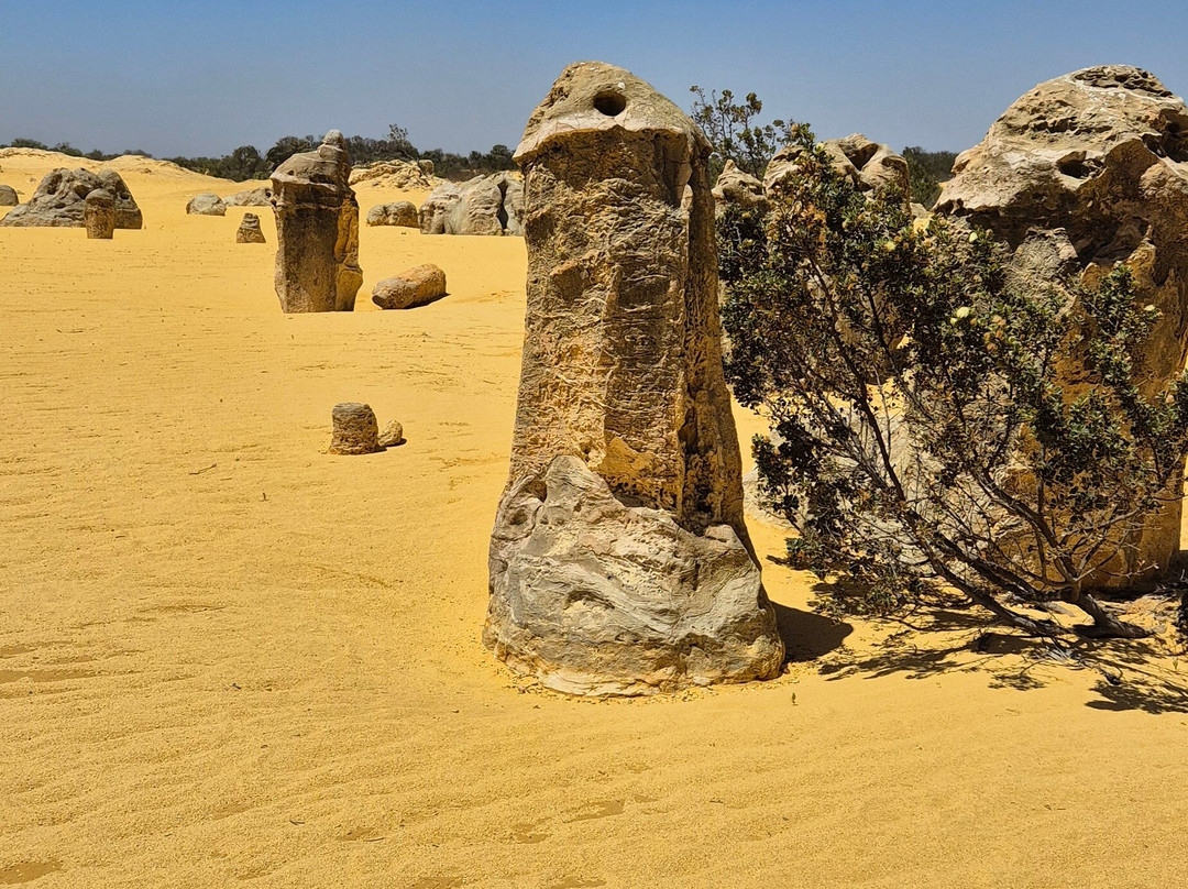 塞万提斯尖塔汽车旅馆主图