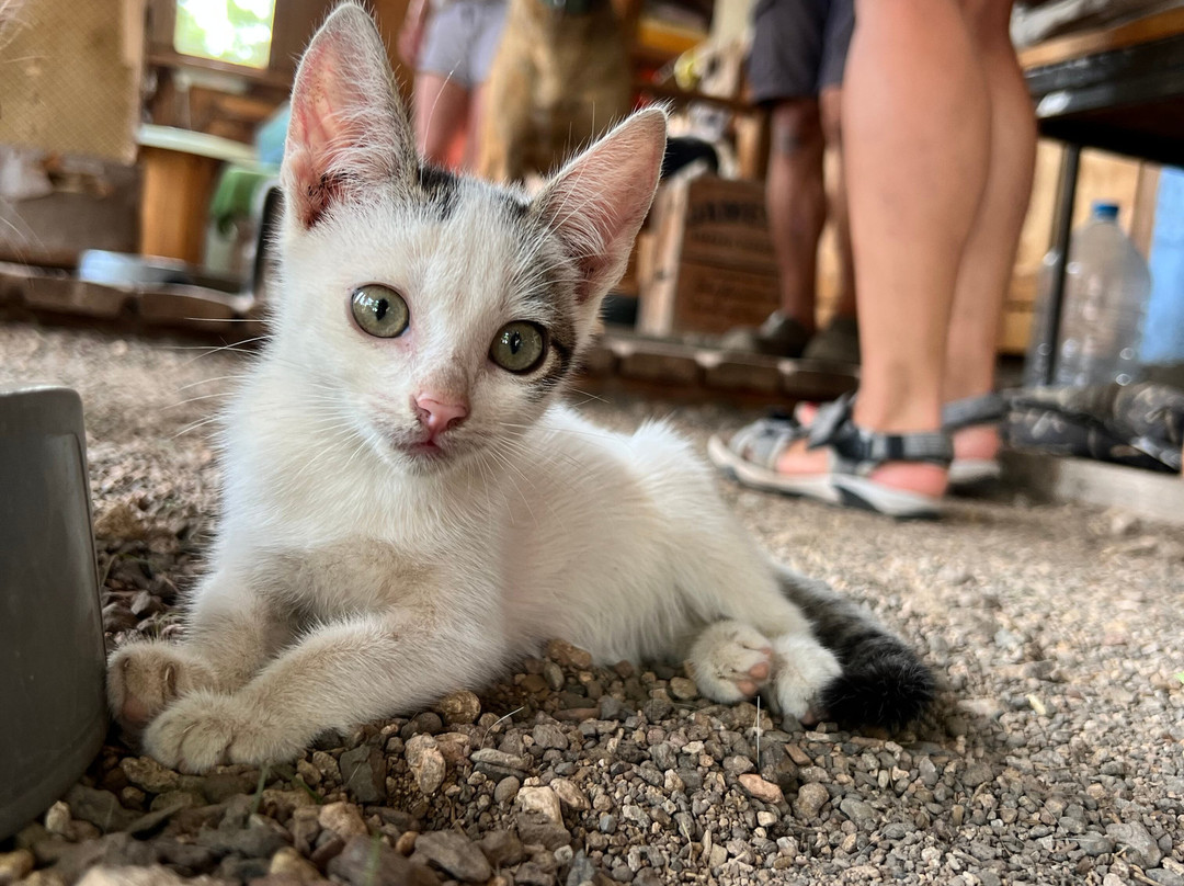 CaboKaiTours-萨尔雷必去景点