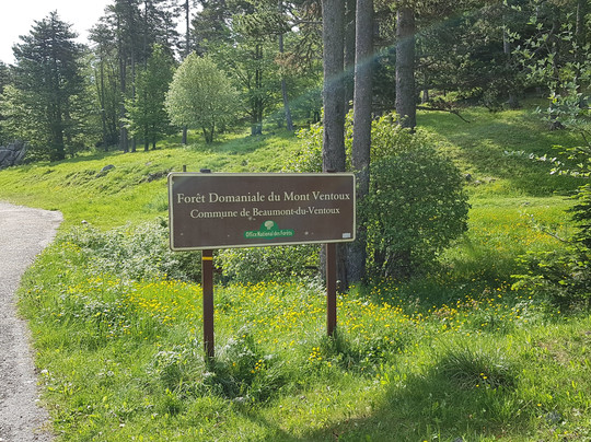 Ventoux Prestige VTC-Modene必去景点