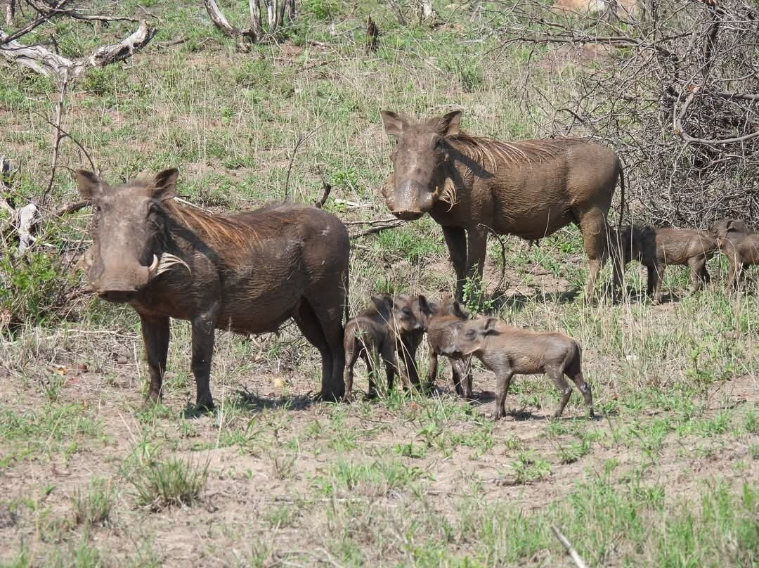 Abigail Safaris Limited-Bukoto必去景点