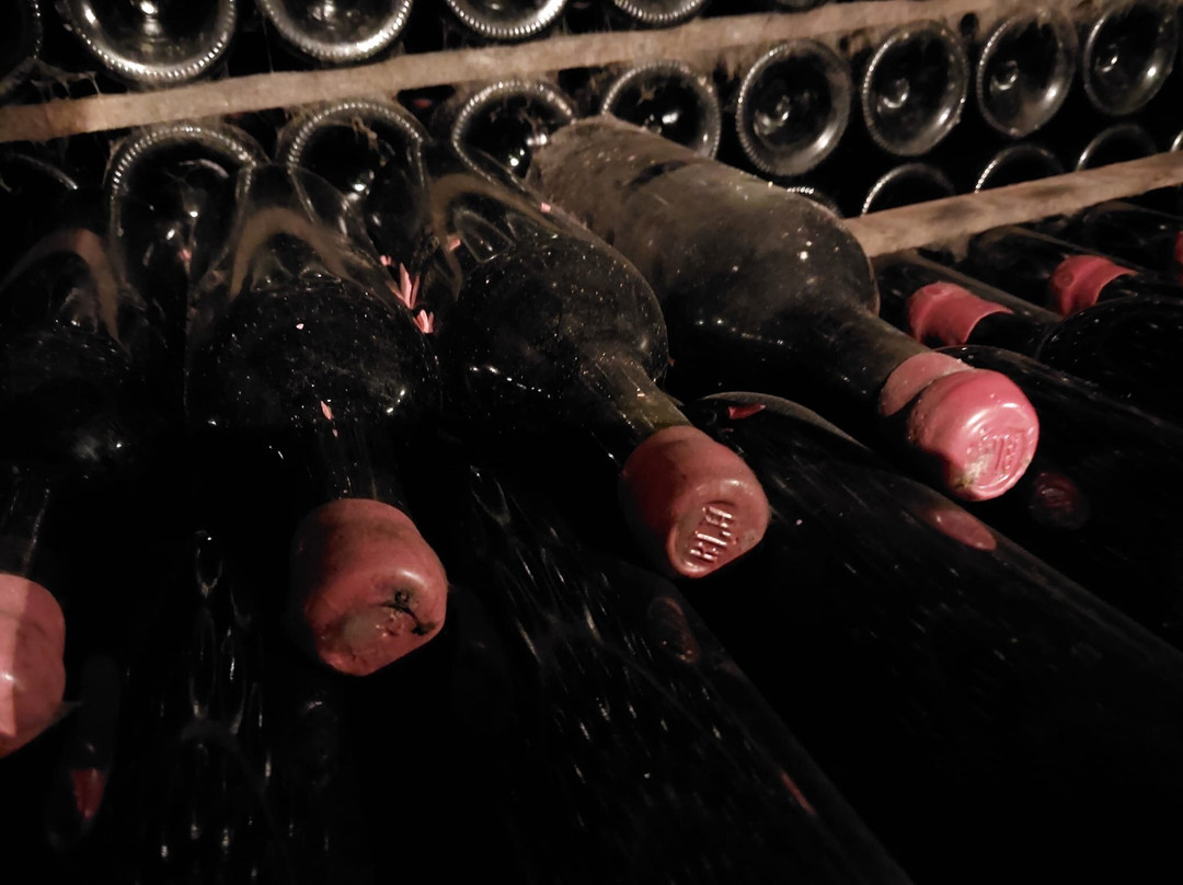 Bodegas Lopez de Heredia Vina Tondonia景点图片