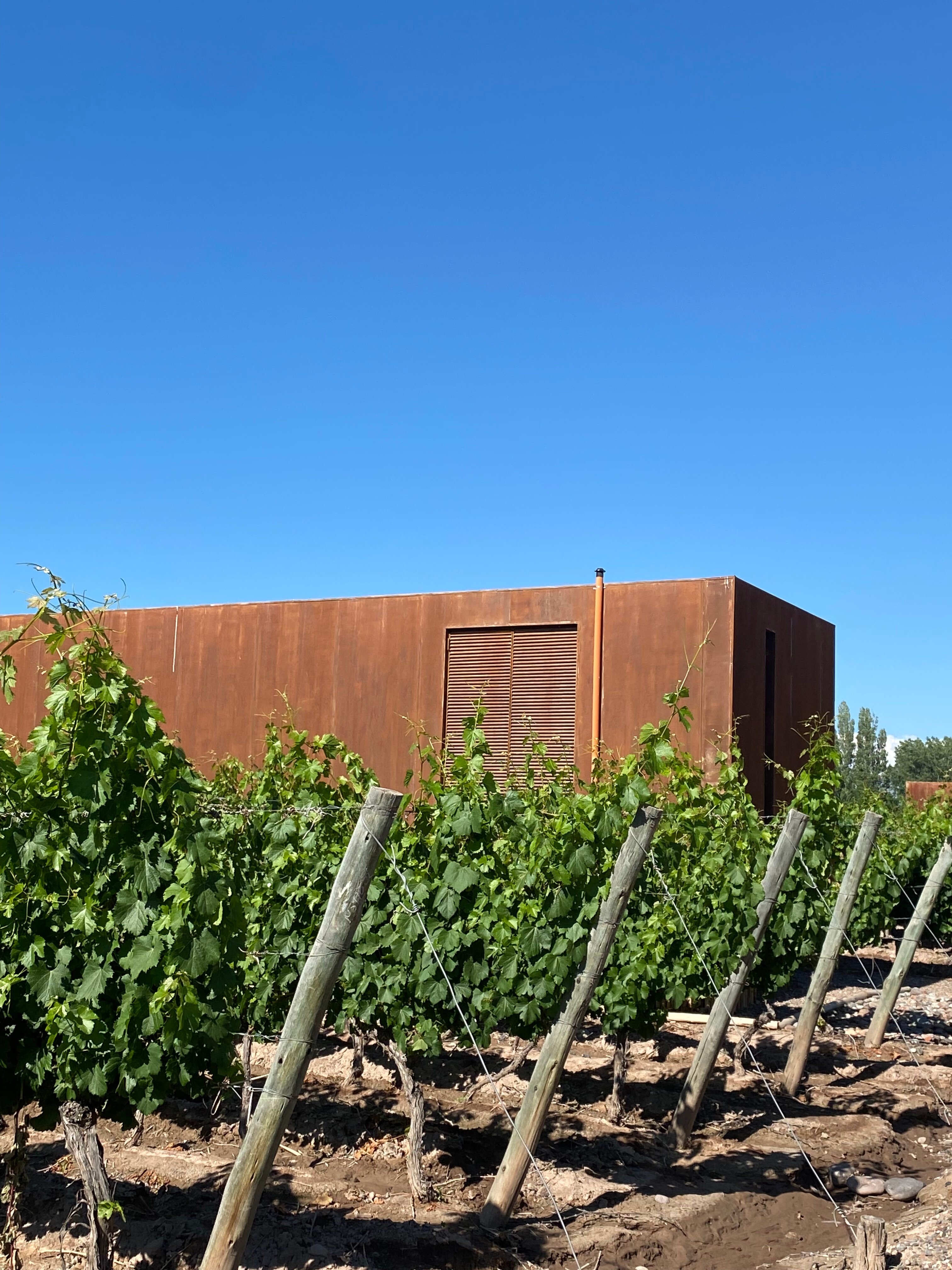 Entre Cielos Wine & Wellness Hotel-浴室