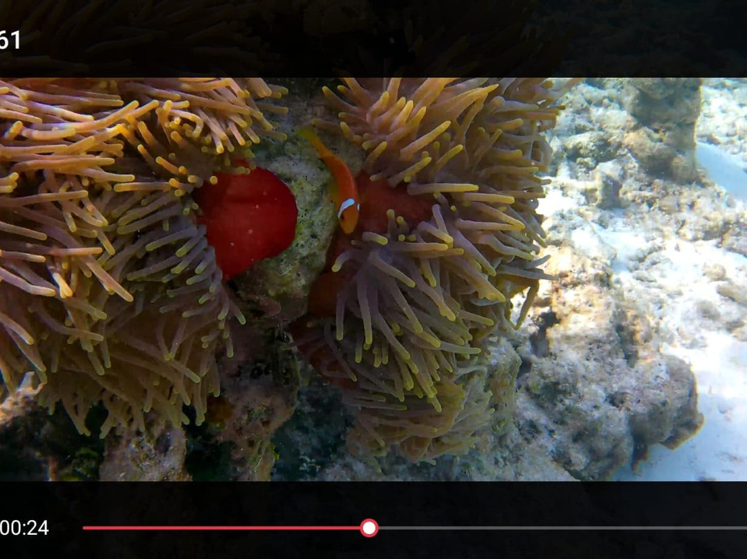 Omadhoo Coral View Inn主图