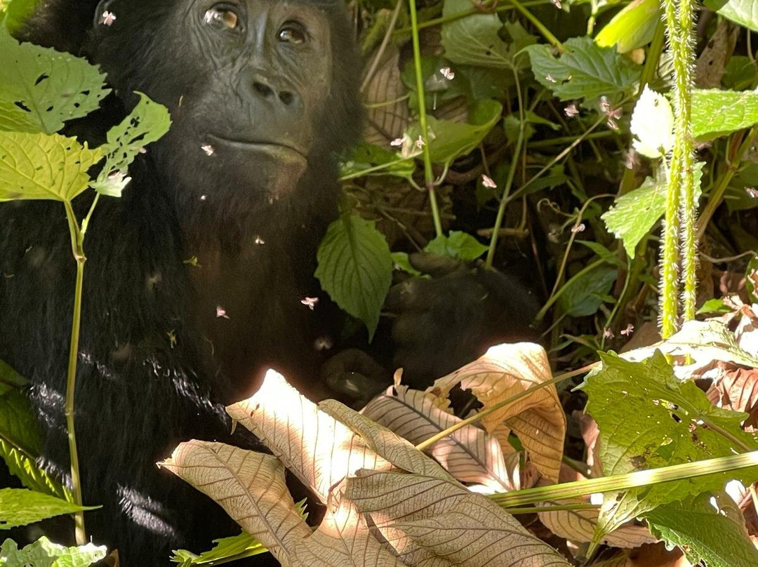 Bright Safaris Uganda-Mbale必去景点