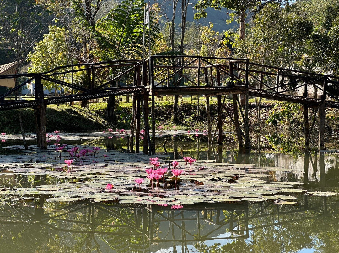 Khun Nan National Park景点图片