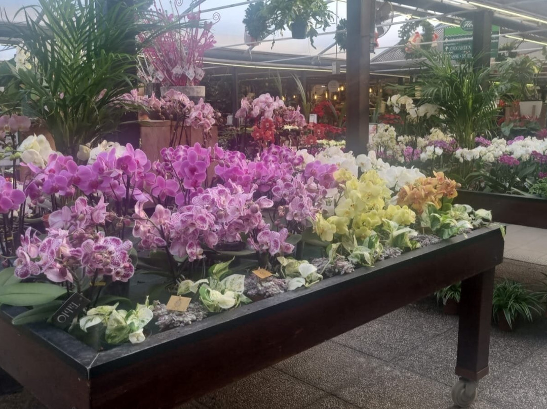 Flover景点图片