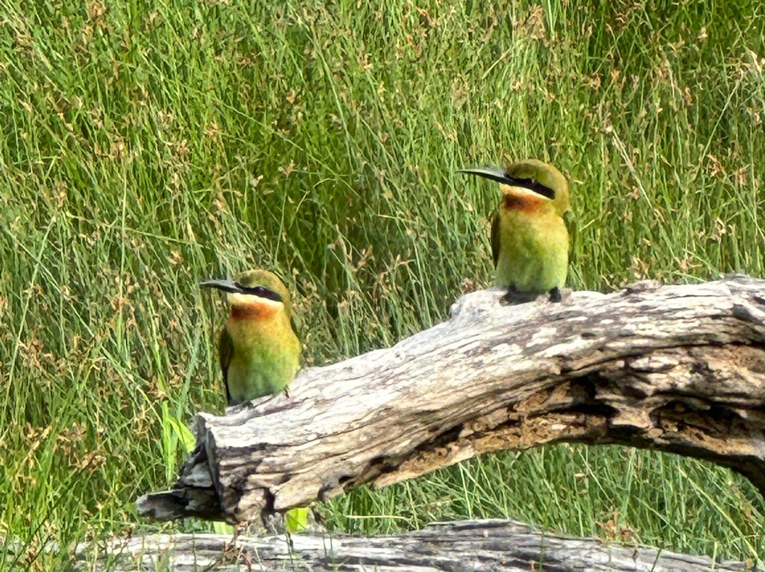 Sri Lanka Tour Experts-Nanu Oya必去景点