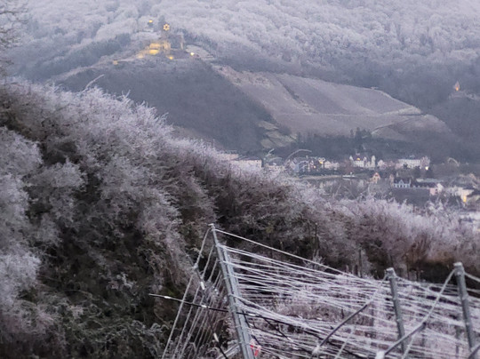 Kemmer's Hotel Panorama主图