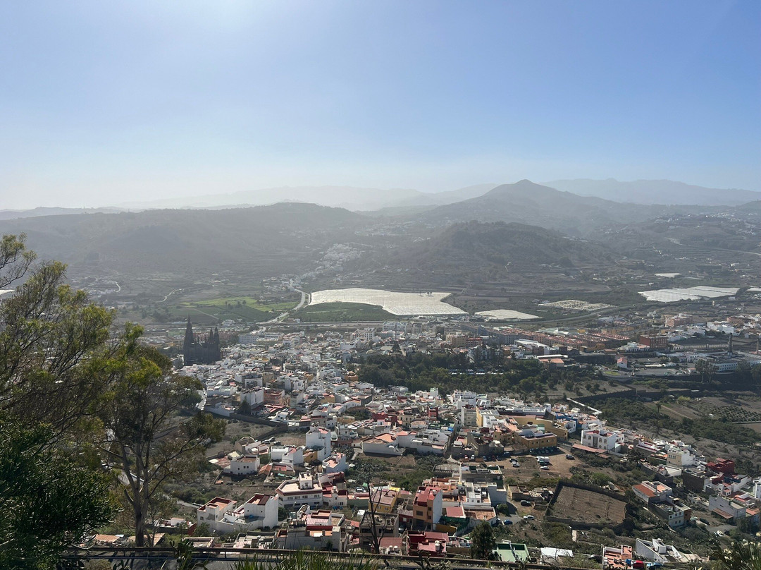 Mirador de Arucas景点图片