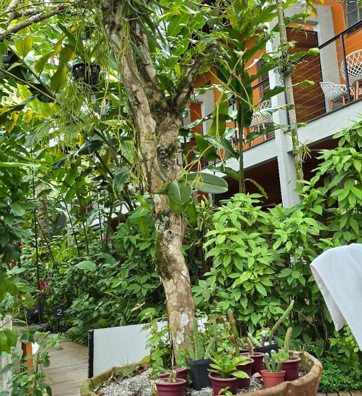 Pousada Armacao de Camburi主图