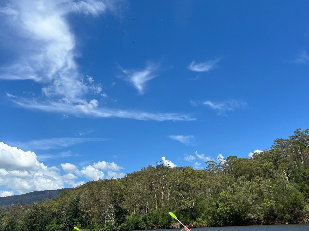Kangaroo Valley Adventure Co.景点图片