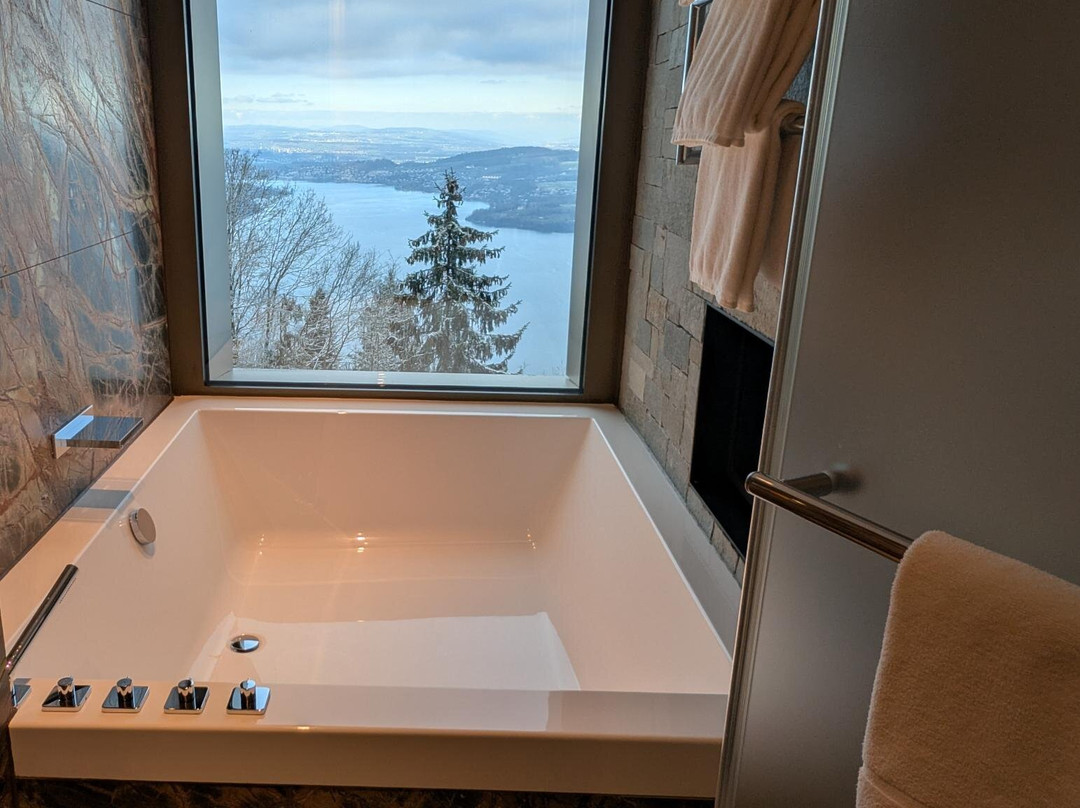 Bürgenstock Hotel & Alpine Spa主图