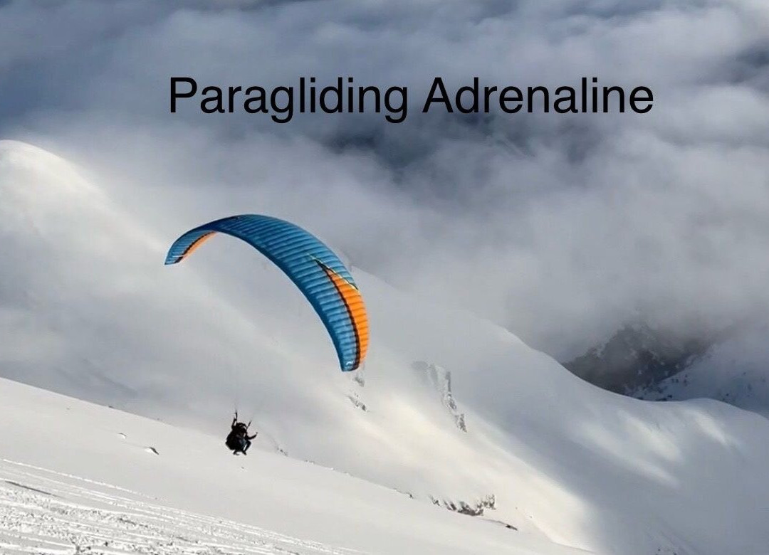 paragliding in georgia with company adrenaline