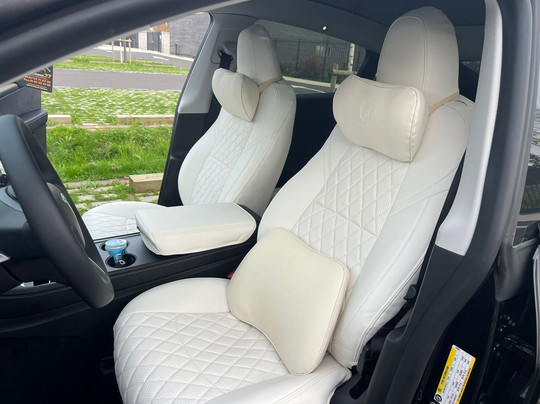 VIP Tesla Driver Paris-鲁瓦西必去景点