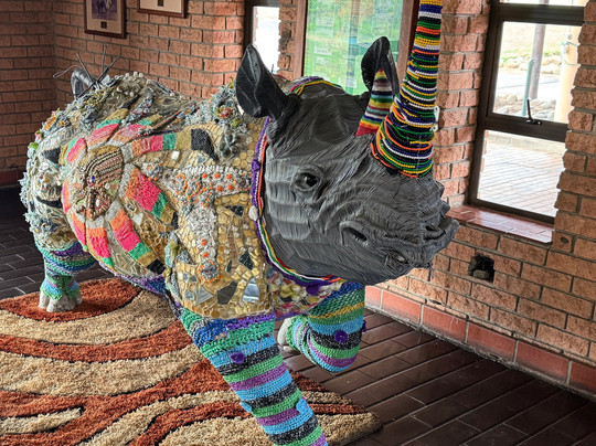 Budget Safaris Durban-德班必去景点