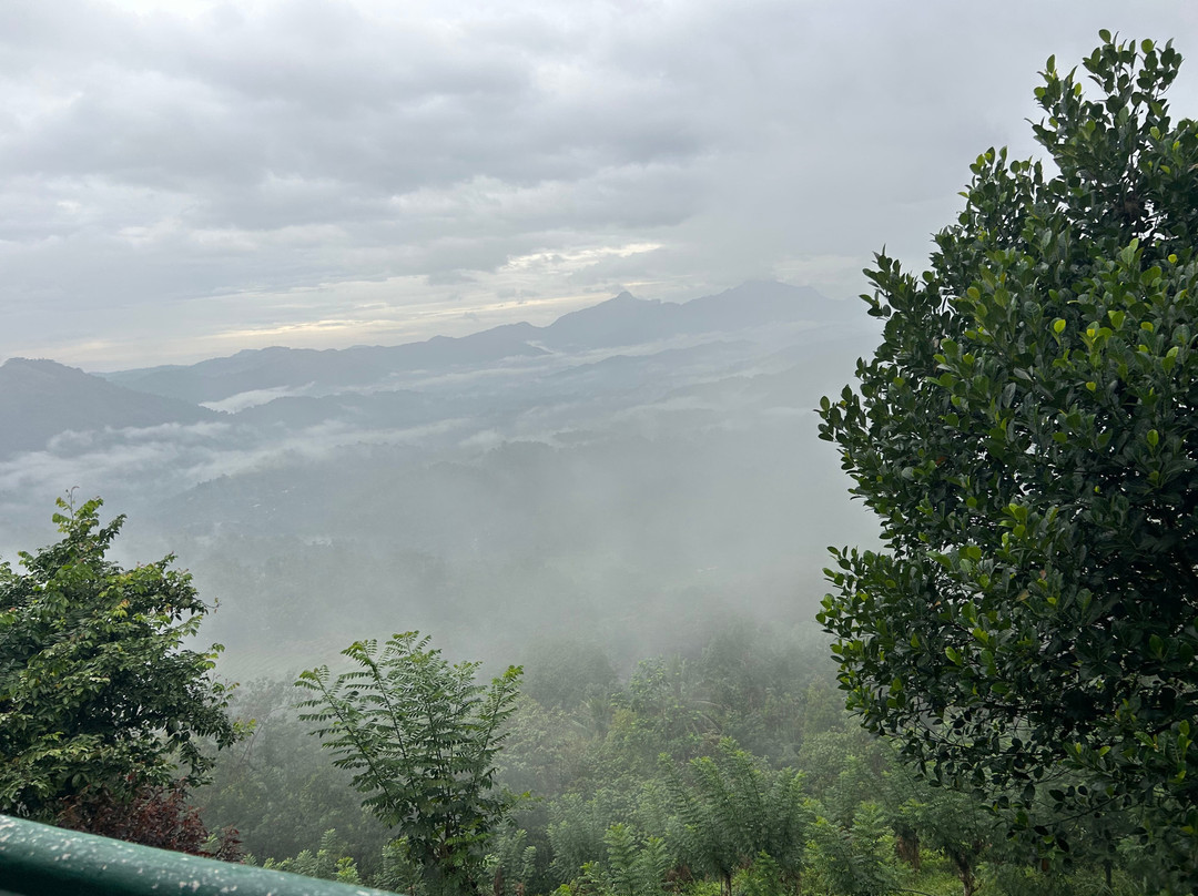 Elkaduwa酒店住宿-Green View Holiday Resort