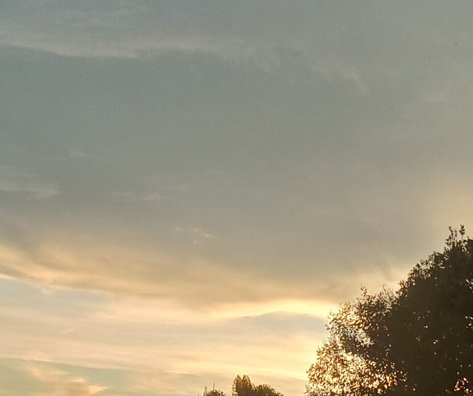 Avocado Motor Inn主图