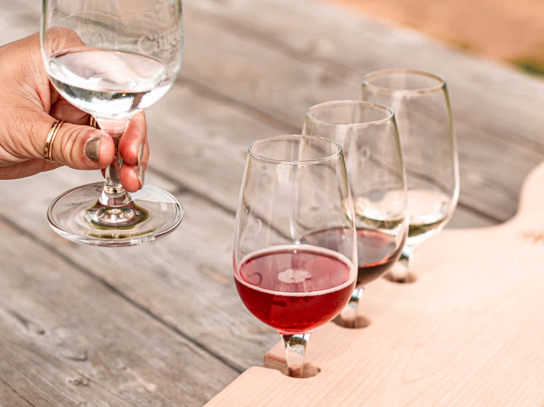 Domaine Le Cageot - Vignoble & Distillerie-Jonquiere必去景点