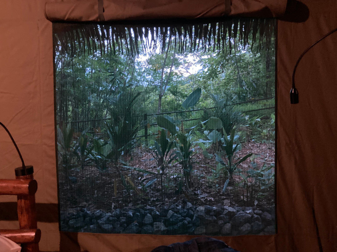 Elephant Hills主图