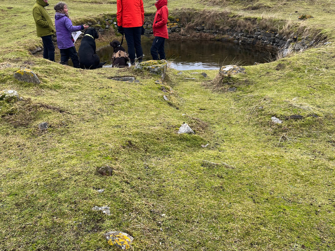 Uist Archaeology Tours景点图片