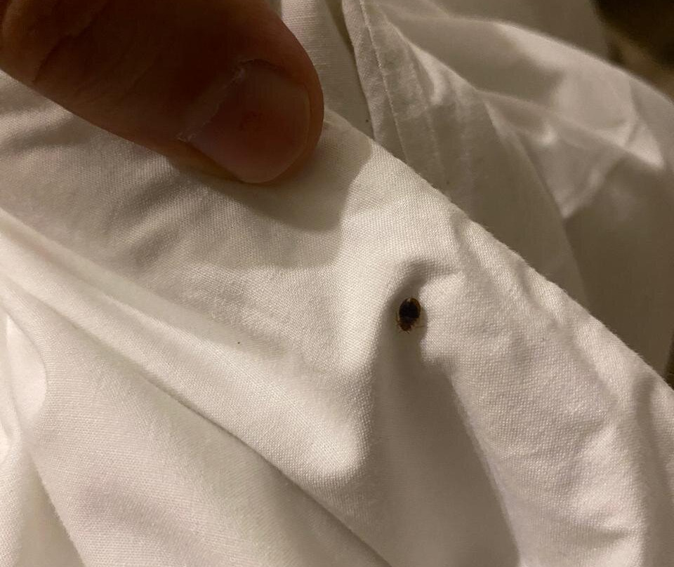 Hotel El Tesoro De Elqui主图