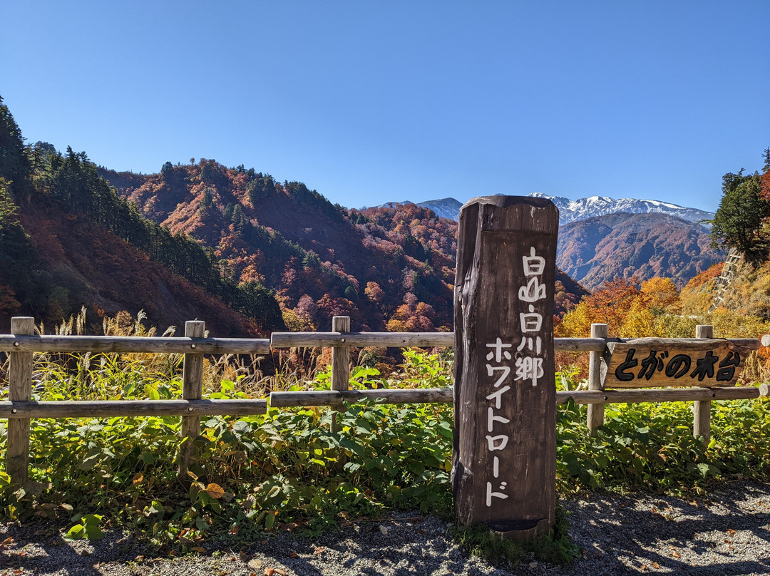 Hakusan Shirakawa-go White Road景点图片