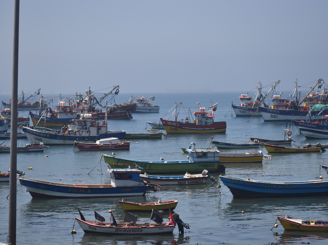 Caleta Tumbes-Talcahuano必去景点
