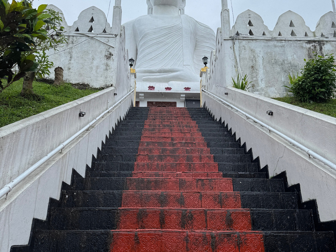 Sri Lanka driver booking & tours plc-Nawalapitiya必去景点