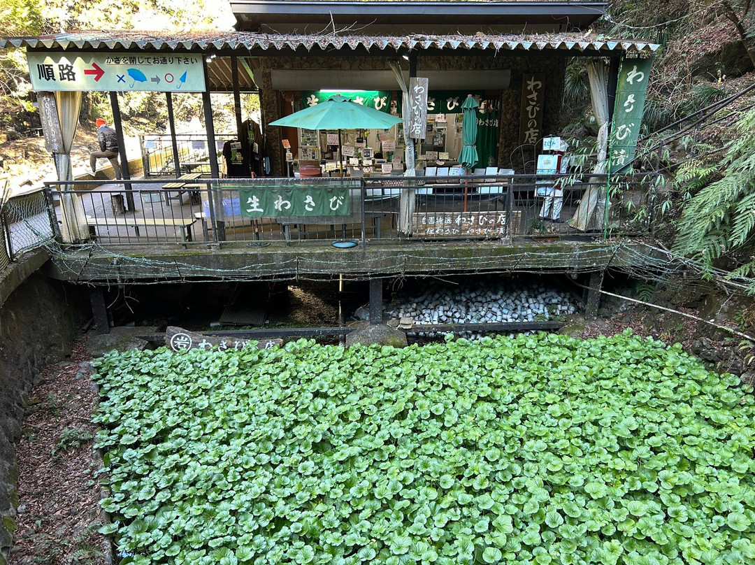 净莲瀑布景点图片